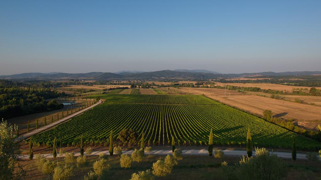 Wine Resort Conti Di San Bonifacio Ribolla Kültér fotó